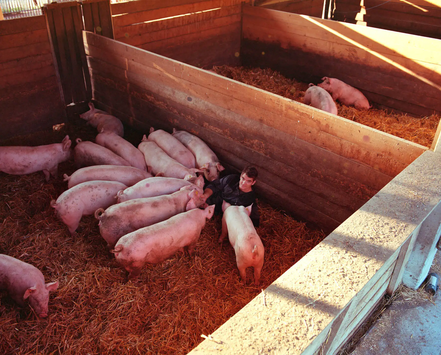 Valentin Chapuis — Pig farmer. Commissioned by État de Vaud, 2024